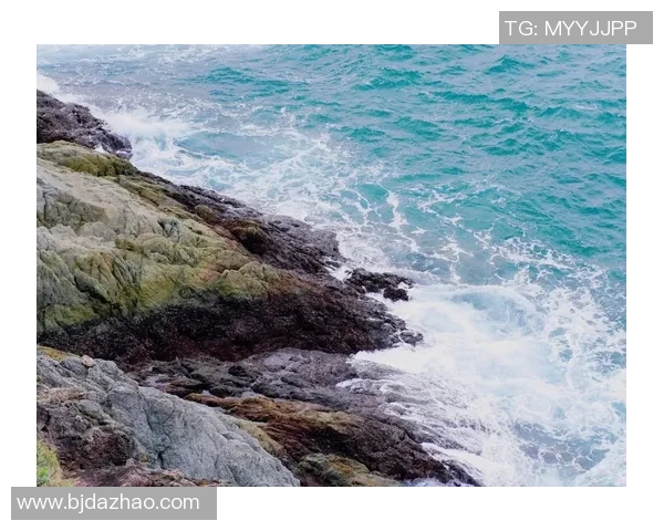 杨磊独家分享极限运动心得与技巧助你突破自我极限挑战极限运动的魅力与乐趣